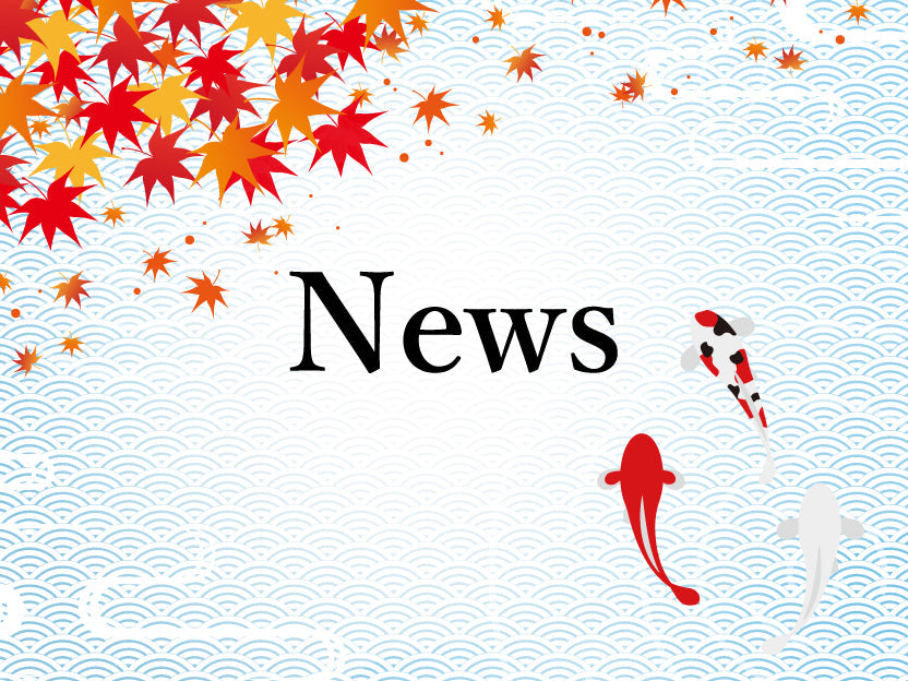 Koimall Global オンラインストア オープンのお知らせ